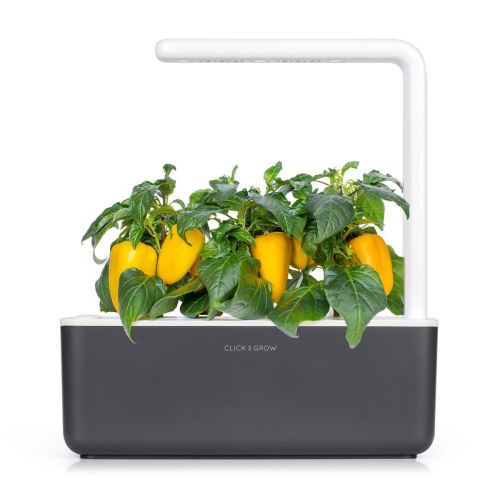 Click and Grow Smart Garden Refill 3-pack - Yellow Sweet Peppers